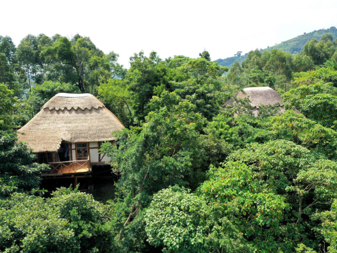Papaya lake lodge cottage011