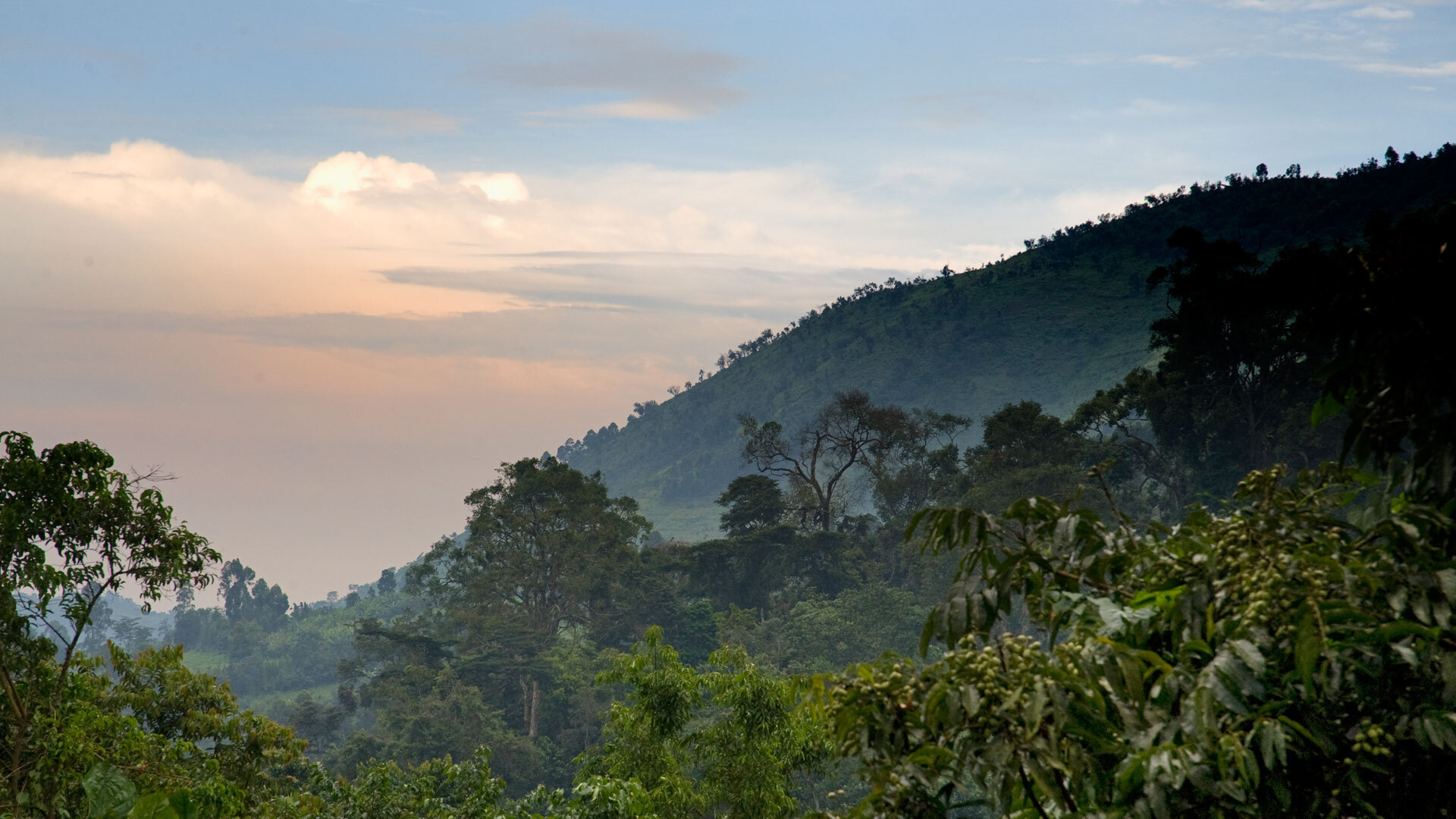 prachtig uitzicht vanuit bwindi national park