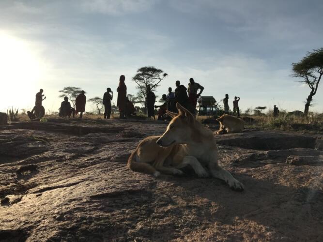 safari in Oeganda