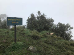 Reizen Oeganda