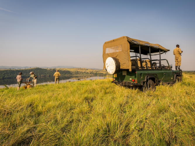 Honey bear safari camp moh latif photography 253