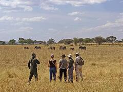 Safari door Oeganda