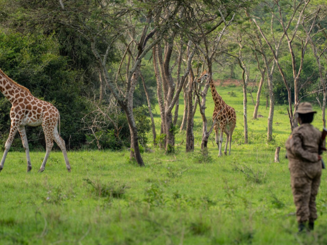 Wandelsafari 2 oeganda