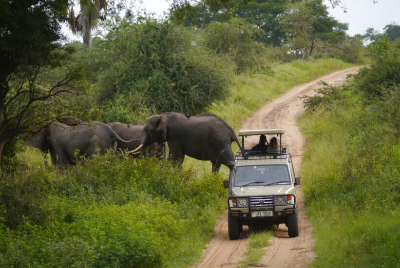 Safari rondreis oeganda