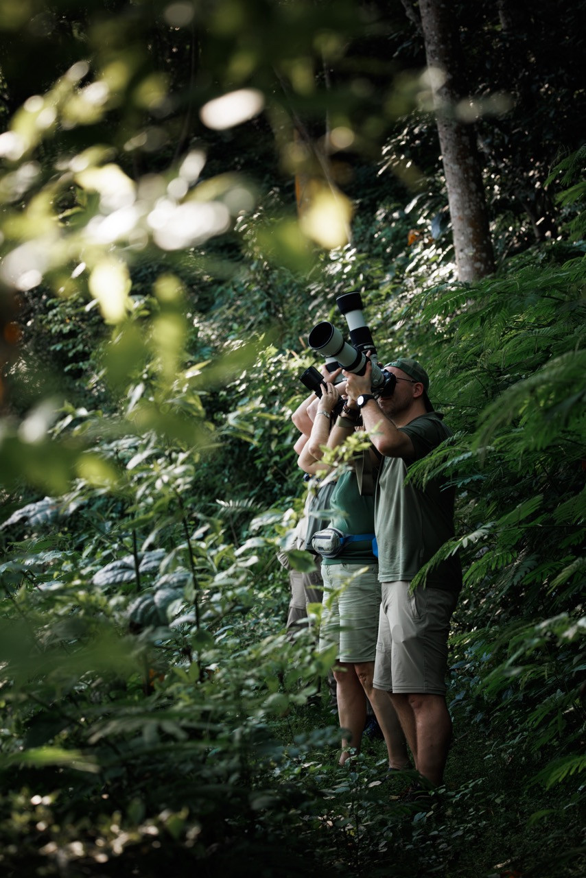 fotograferen tijdens een gorilla trekking