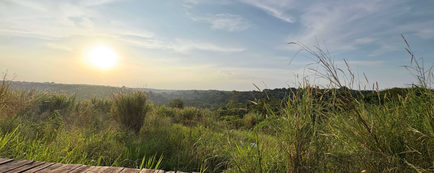 IMG 1025 arielle timmerman