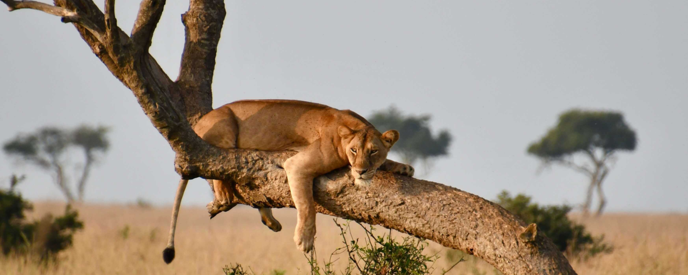 Reiservaring Oeganda door Claudia Rens