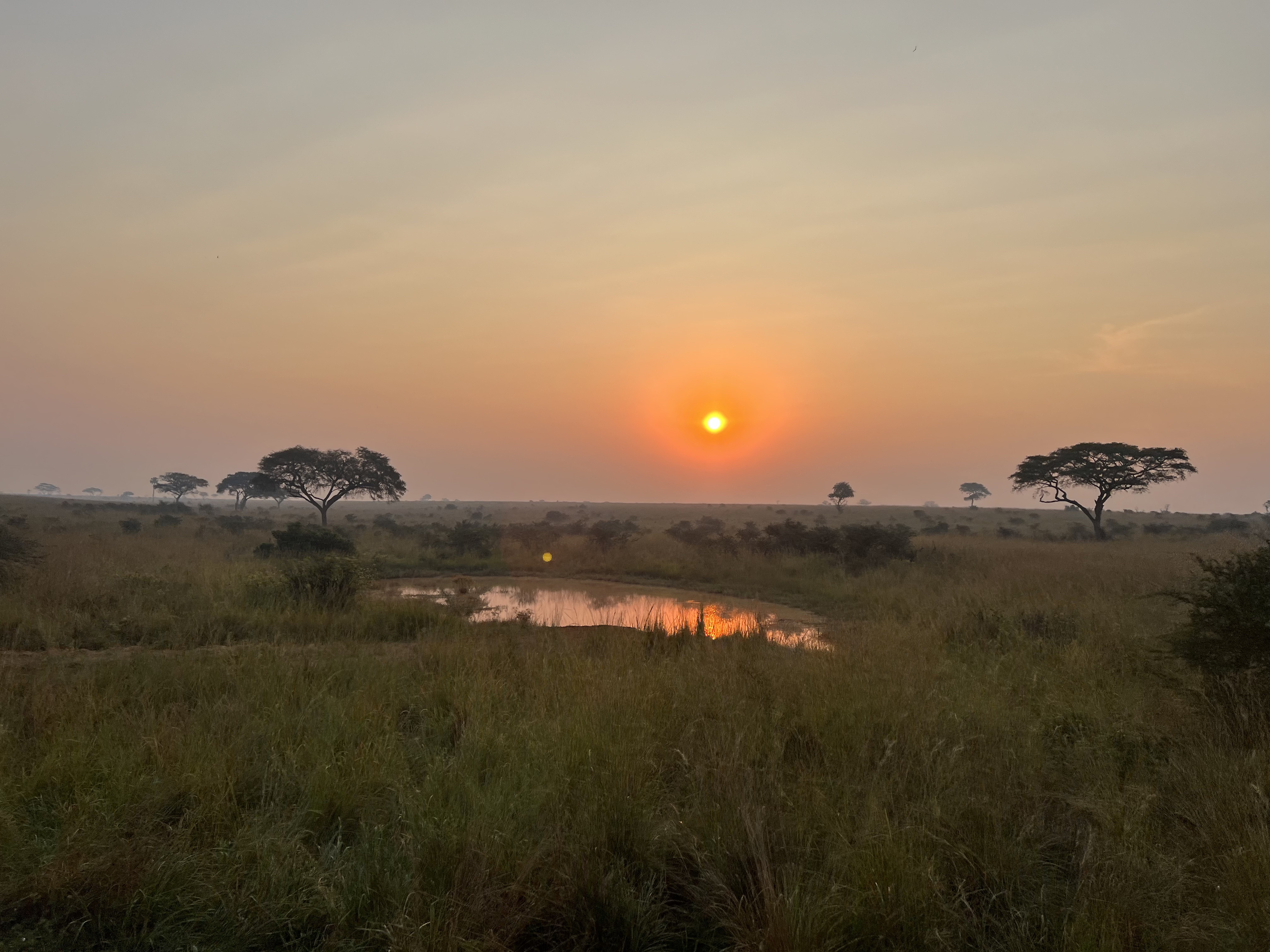 Safari in Oeganda