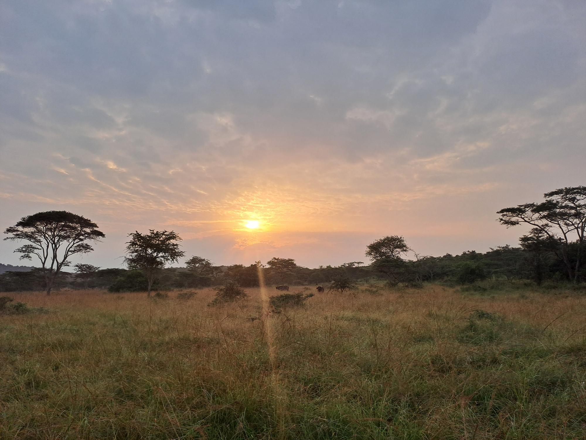 Natuur in Oeganda
