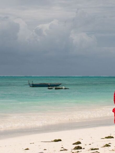 Oeganda Zanzibar combireis