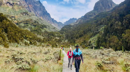 Rwenzori gebergte 1 Rwenzori gebergte 1