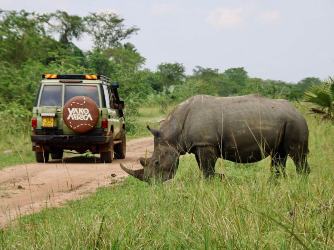 Whats App Image 2025 05 28 at 14 14 50